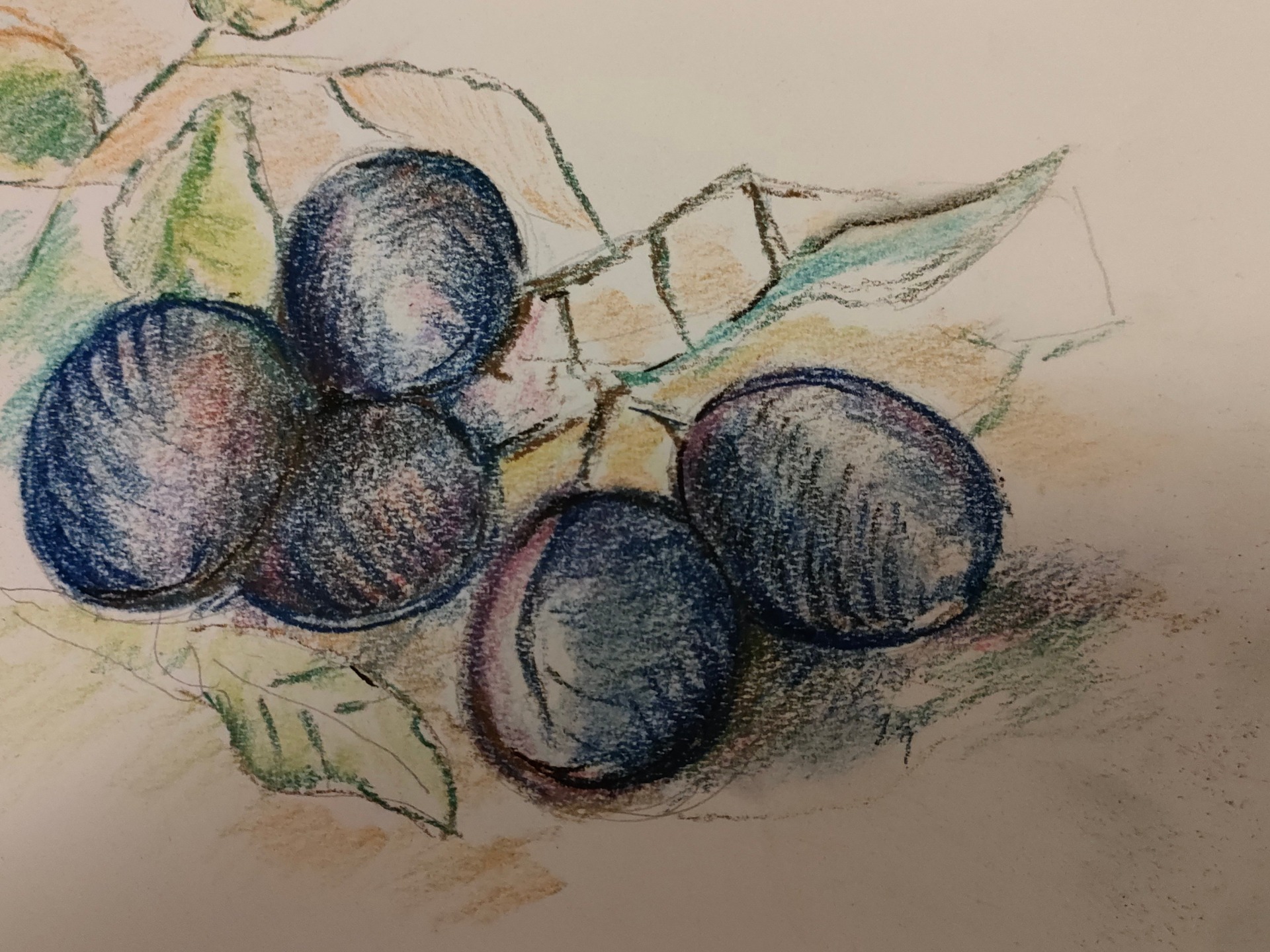 2025, Interpretácia Zátišia so slivkami, Pastel, Mgr. Zuzana Ferencová 